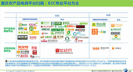 《2015年重庆农产品电商产业发展研究报告》截图。